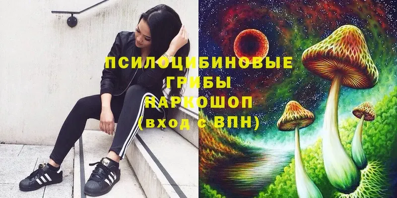 Псилоцибиновые грибы ЛСД  Сатка 